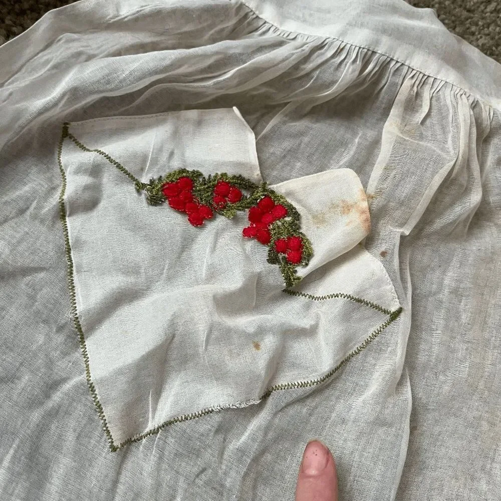 VTG 1950s Sheer Hostess Apron Embroidered Valentine Carmen Lee Cotton
